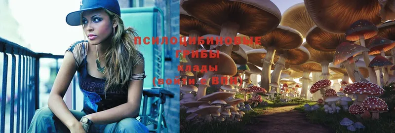 mega зеркало  даркнет сайт  Амурск  Псилоцибиновые грибы Psilocybe 